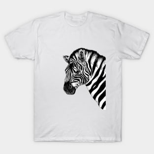 A Zebra T-Shirt